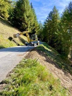 IMG_2587 Petite 2.jpeg