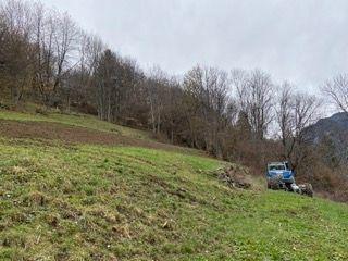 IMG_2831 Petite.jpeg