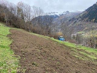 IMG_2832 Petite.jpeg