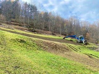 IMG_2843 Petite.jpeg