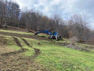 IMG_2844 Petite.jpeg