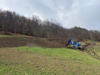 IMG_2849 Petite.jpeg